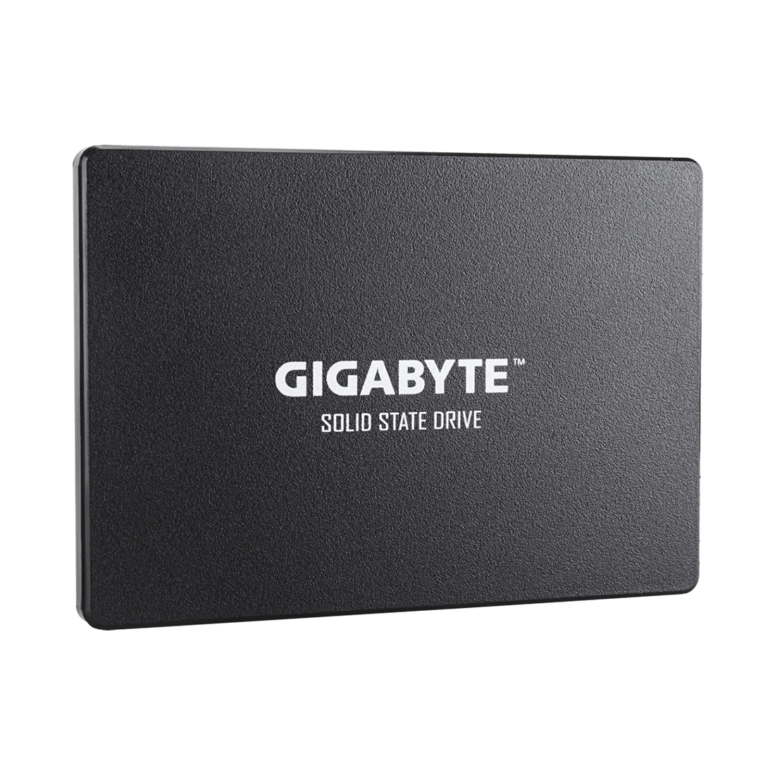 Твердотельный накопитель SSD GIGABYTE GP-GSTFS31100TNTD 1000GB