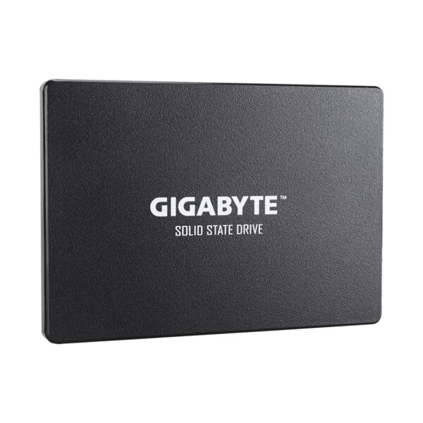 Твердотельный накопитель SSD GIGABYTE GP-GSTFS31100TNTD 1000GB